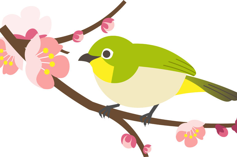 桜切る馬鹿、梅切らぬ馬鹿